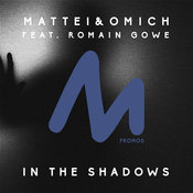 In The Shadows Feat. Romain Gowe (Original Mix)