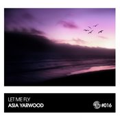 Let Me Fly (Soulfuledge Remix)