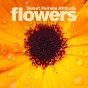 Flowers (Sam Divine & Curtis Gabriel Remix)