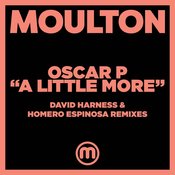 A Little More (David Harness Remix)