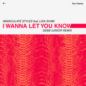 I Wanna Let You Know (Sebb Junior Remix) [Feat. Lisa Shaw]