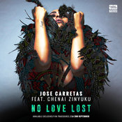 No Love Lost (Vocal Mix)