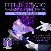 Feel The Magic (Shannon's 1 Sound Mix)