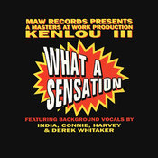 What A Sensation (Sensational Mix)