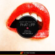 Phat Lipp (Scott Diaz Warehouse Jam Remix)