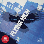 Flying High (Dirty Harry Spanish Rituals Mix)