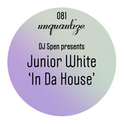 In Da House (DJ Spen Remix)