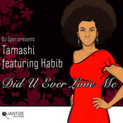 Did U Ever Love Me (Tamashi & Frankie J Key Sonic Dub Mix)