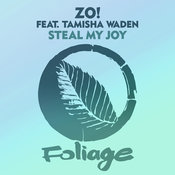 Steal My Joy (Opolopo Remix)