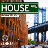 House Avenue (03/06/26)