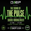 Sound Of The Pulse (13/09/26)