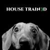 House Train3d (18/05/23)