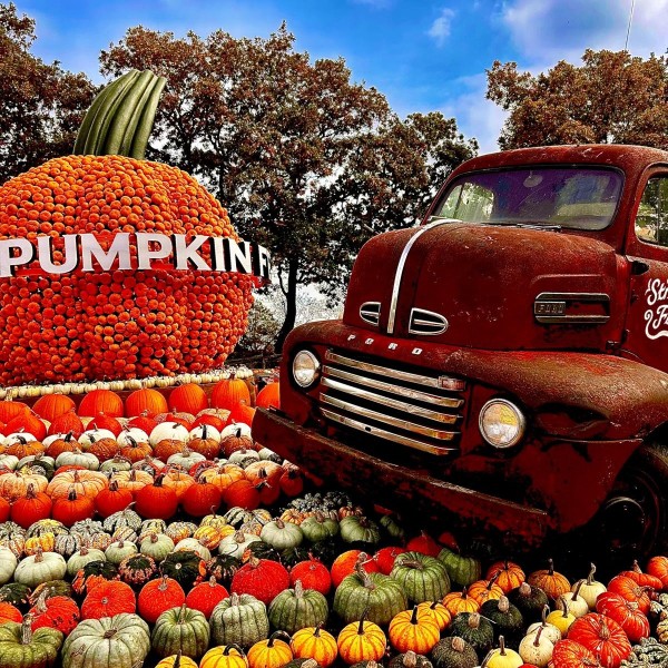 Jam On Top (16/10/25)
