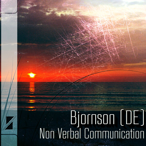 Non Verbal Communication