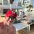 shaneo