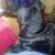 loulou999